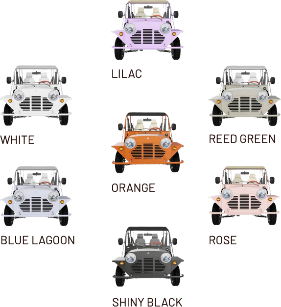 Coloroptions